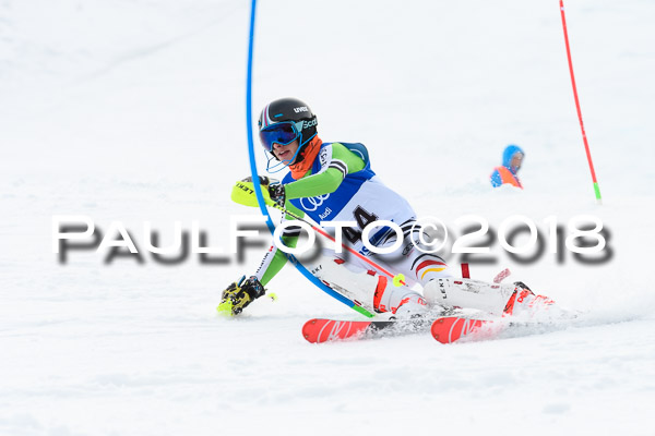 Bayerische Schülermeisterschaft Slalom 28.01.2018