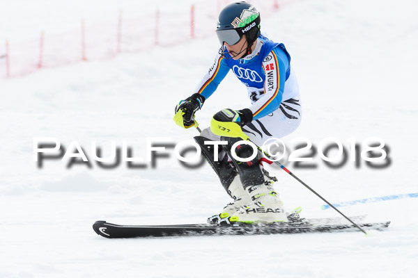 Bayerische Schülermeisterschaft Slalom 28.01.2018