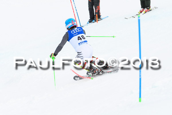 Bayerische Schülermeisterschaft Slalom 28.01.2018