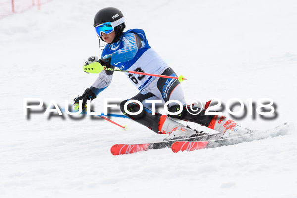 Bayerische Schülermeisterschaft Slalom 28.01.2018