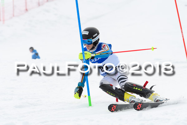 Bayerische Schülermeisterschaft Slalom 28.01.2018