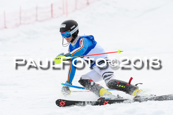 Bayerische Schülermeisterschaft Slalom 28.01.2018