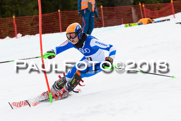 Bayerische Schülermeisterschaft Slalom 28.01.2018