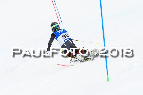 Bayerische Schülermeisterschaft Slalom 28.01.2018