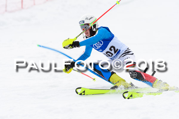 Bayerische Schülermeisterschaft Slalom 28.01.2018