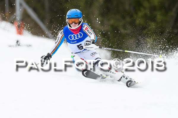 Bayerische Schülermeisterschaft Slalom 28.01.2018