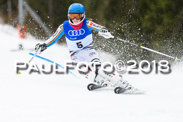 Bayerische Schülermeisterschaft Slalom 28.01.2018