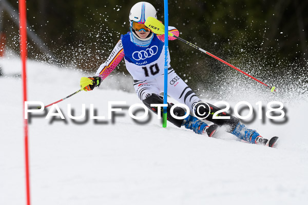 Bayerische Schülermeisterschaft Slalom 28.01.2018