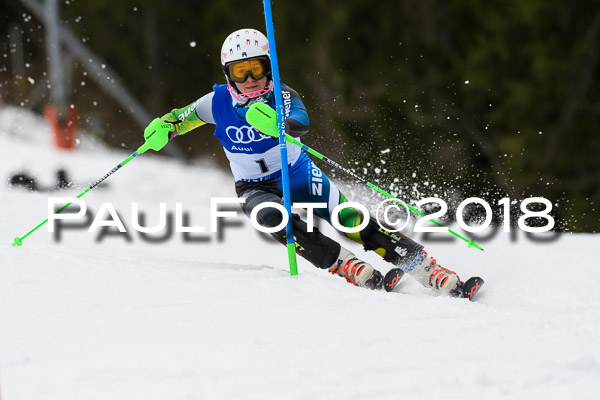 Bayerische Schülermeisterschaft Slalom 28.01.2018