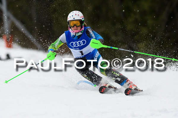 Bayerische Schülermeisterschaft Slalom 28.01.2018