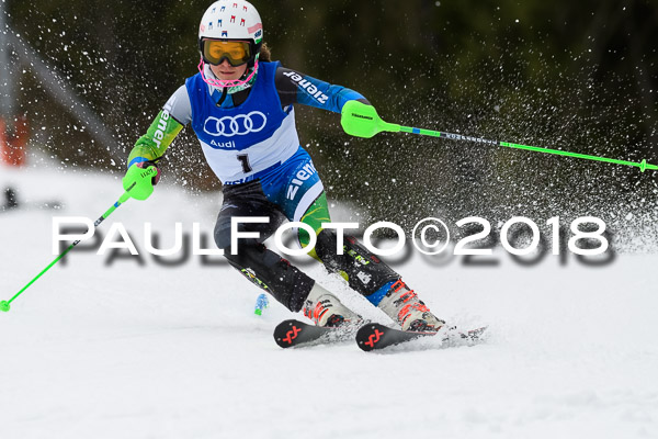 Bayerische Schülermeisterschaft Slalom 28.01.2018