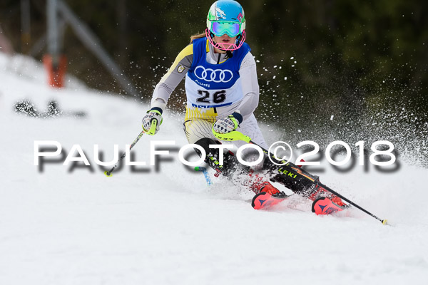 Bayerische Schülermeisterschaft Slalom 28.01.2018