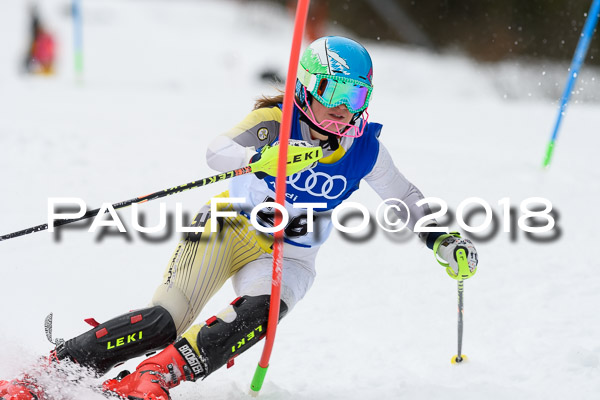 Bayerische Schülermeisterschaft Slalom 28.01.2018