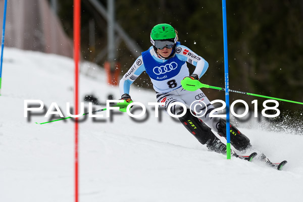 Bayerische Schülermeisterschaft Slalom 28.01.2018