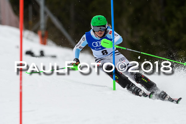 Bayerische Schülermeisterschaft Slalom 28.01.2018