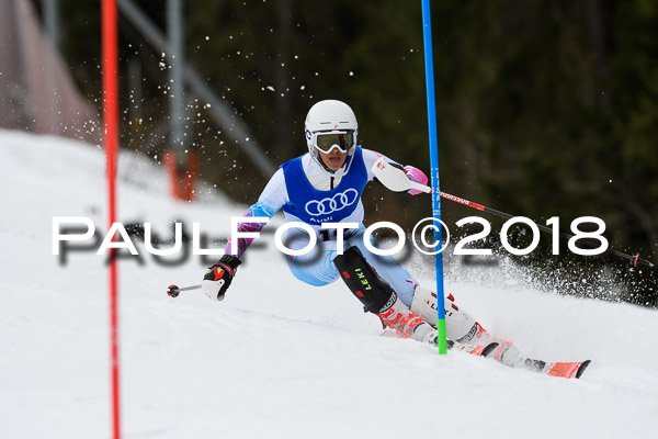 Bayerische Schülermeisterschaft Slalom 28.01.2018