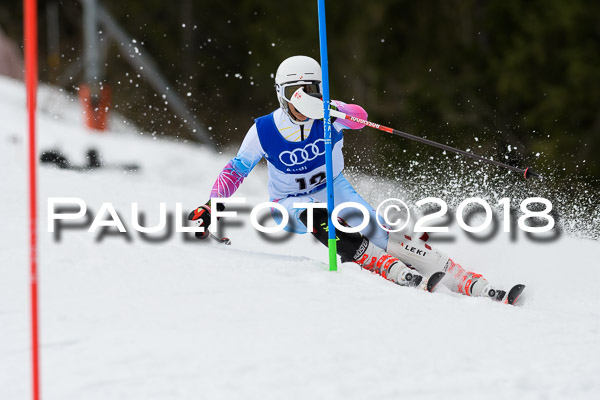 Bayerische Schülermeisterschaft Slalom 28.01.2018