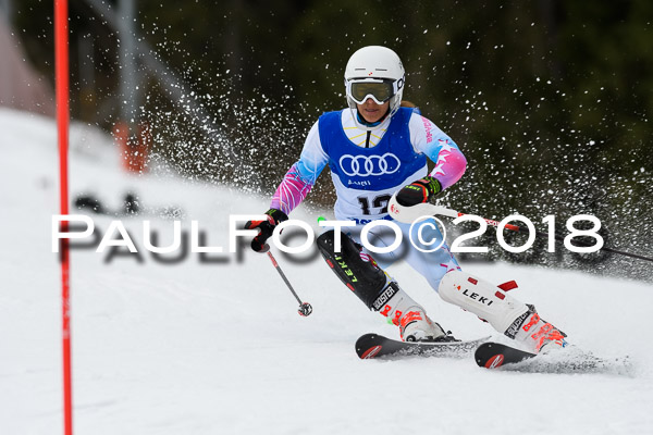 Bayerische Schülermeisterschaft Slalom 28.01.2018