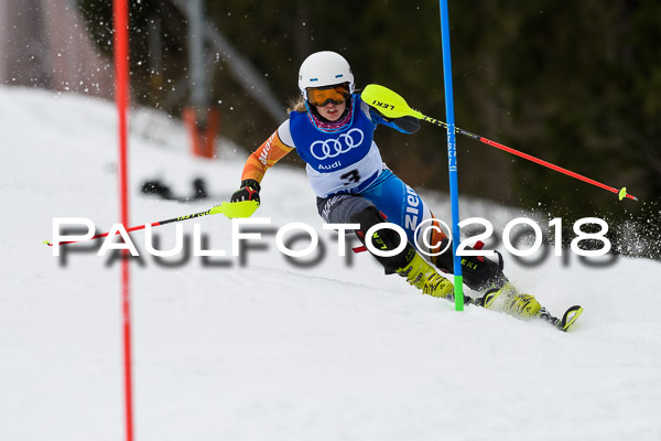 Bayerische Schülermeisterschaft Slalom 28.01.2018