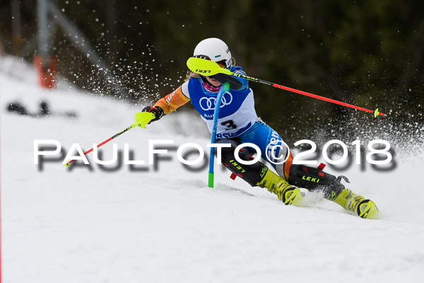 Bayerische Schülermeisterschaft Slalom 28.01.2018