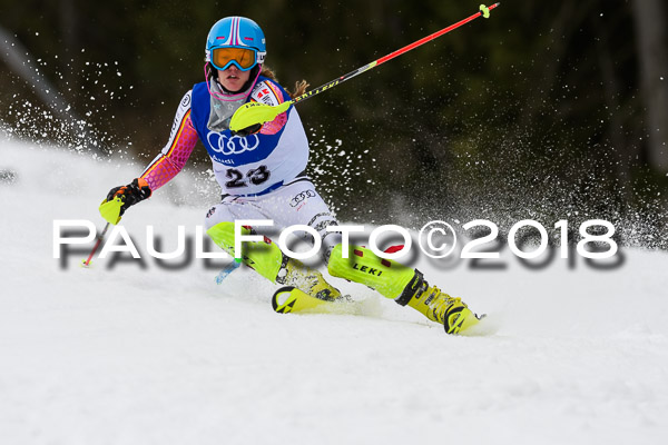 Bayerische Schülermeisterschaft Slalom 28.01.2018