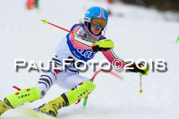 Bayerische Schülermeisterschaft Slalom 28.01.2018