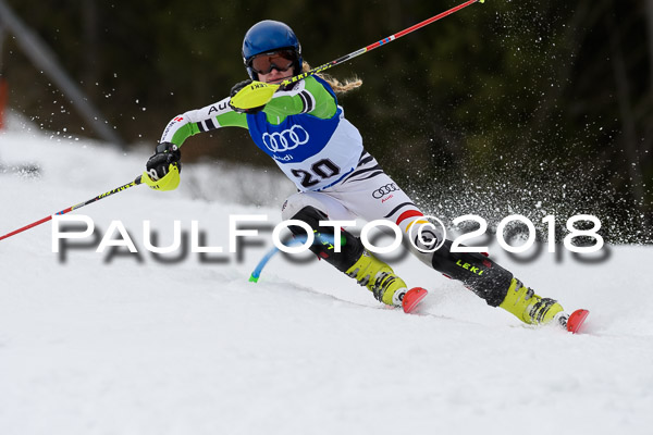 Bayerische Schülermeisterschaft Slalom 28.01.2018