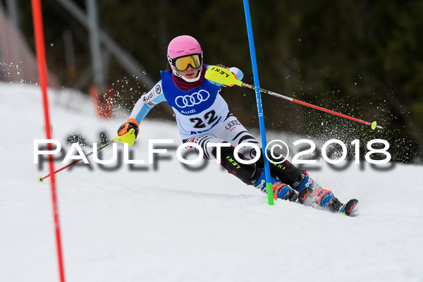 Bayerische Schülermeisterschaft Slalom 28.01.2018