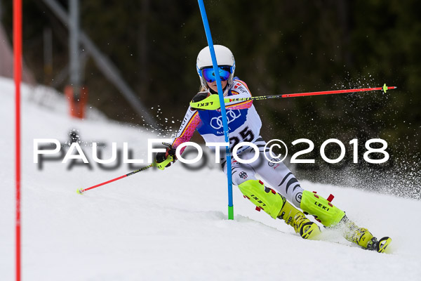 Bayerische Schülermeisterschaft Slalom 28.01.2018