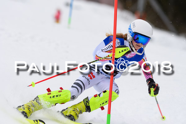 Bayerische Schülermeisterschaft Slalom 28.01.2018