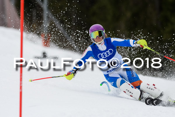 Bayerische Schülermeisterschaft Slalom 28.01.2018