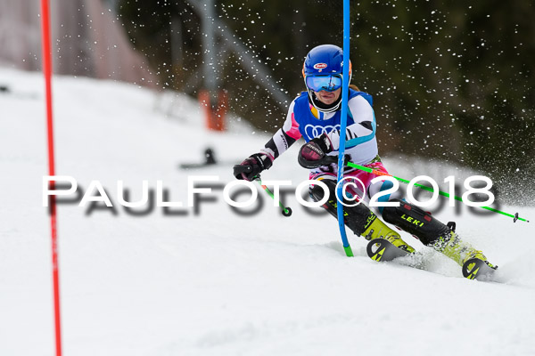 Bayerische Schülermeisterschaft Slalom 28.01.2018