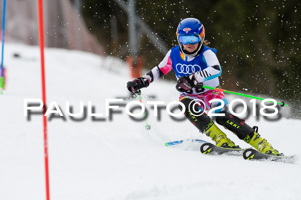 Bayerische Schülermeisterschaft Slalom 28.01.2018