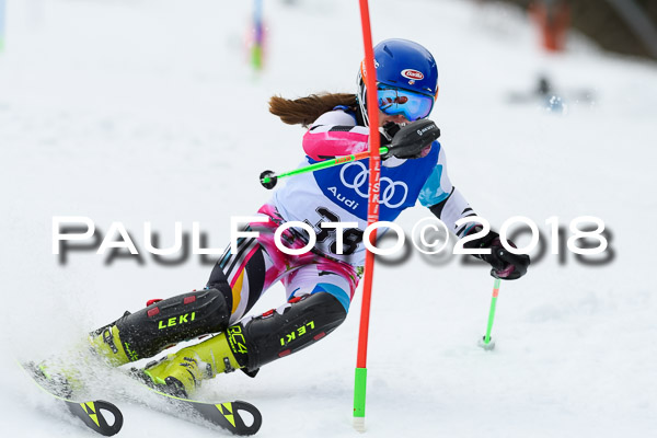 Bayerische Schülermeisterschaft Slalom 28.01.2018