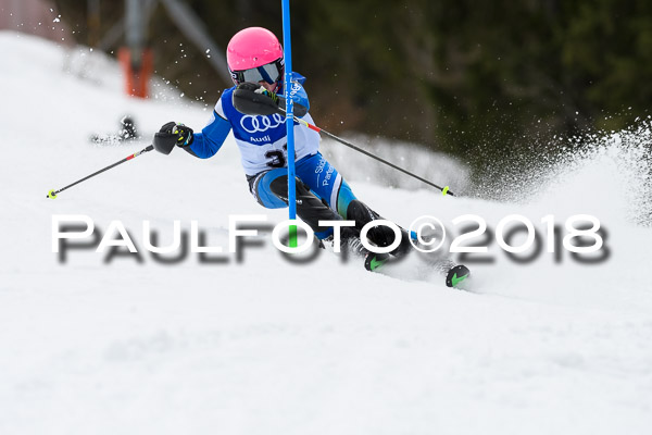 Bayerische Schülermeisterschaft Slalom 28.01.2018