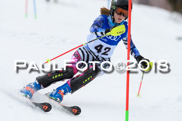 Bayerische Schülermeisterschaft Slalom 28.01.2018