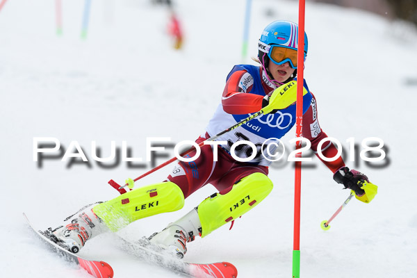 Bayerische Schülermeisterschaft Slalom 28.01.2018