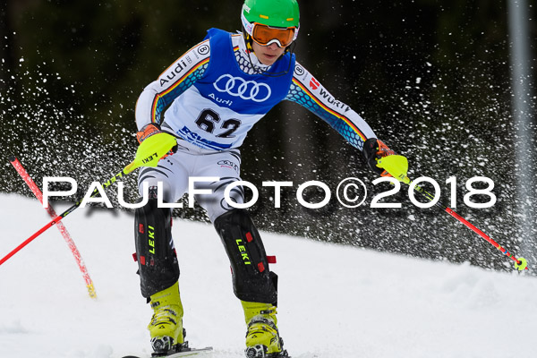 Bayerische Schülermeisterschaft Slalom 28.01.2018