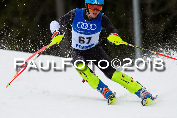 Bayerische Schülermeisterschaft Slalom 28.01.2018