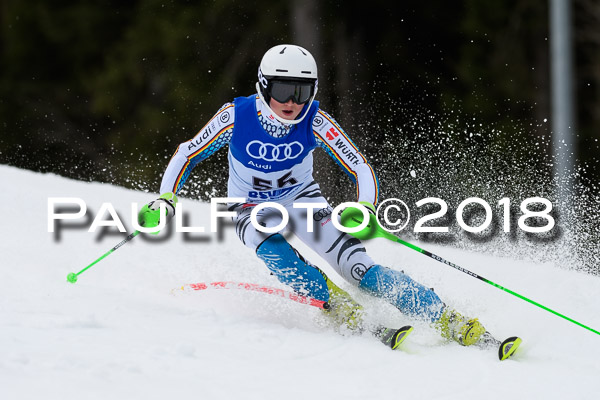 Bayerische Schülermeisterschaft Slalom 28.01.2018