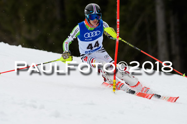 Bayerische Schülermeisterschaft Slalom 28.01.2018