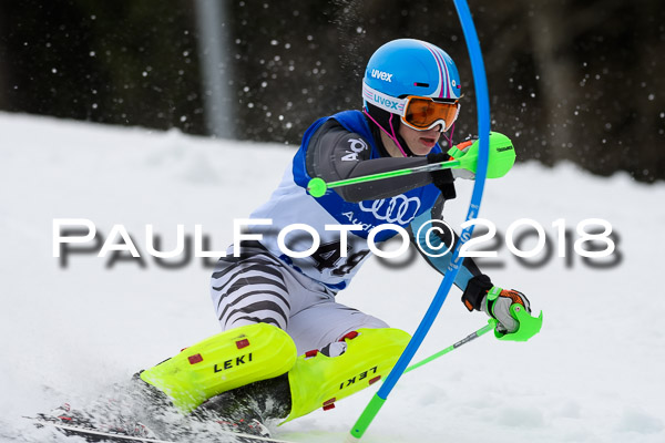 Bayerische Schülermeisterschaft Slalom 28.01.2018