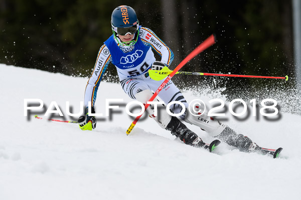 Bayerische Schülermeisterschaft Slalom 28.01.2018