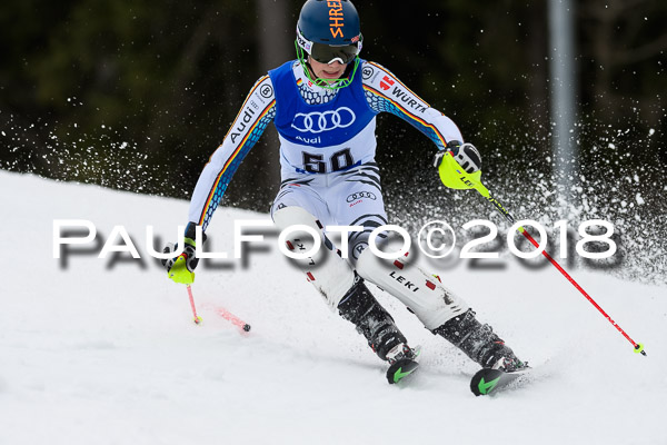 Bayerische Schülermeisterschaft Slalom 28.01.2018