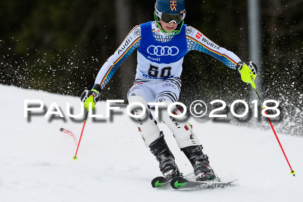 Bayerische Schülermeisterschaft Slalom 28.01.2018