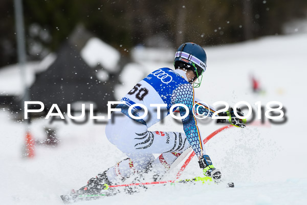 Bayerische Schülermeisterschaft Slalom 28.01.2018