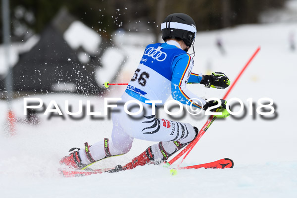 Bayerische Schülermeisterschaft Slalom 28.01.2018