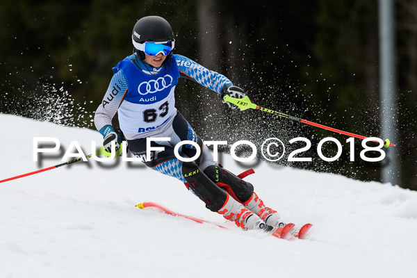 Bayerische Schülermeisterschaft Slalom 28.01.2018