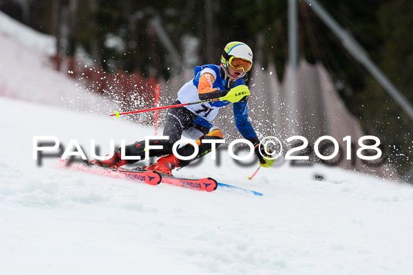 Bayerische Schülermeisterschaft Slalom 28.01.2018