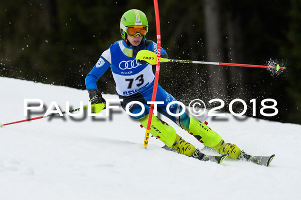 Bayerische Schülermeisterschaft Slalom 28.01.2018